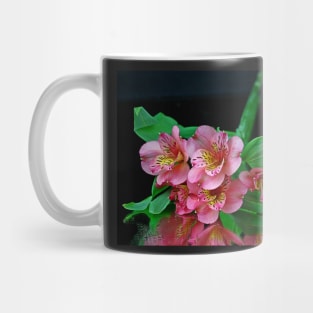 Alstroemeria Mug